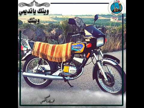 أبو عمر العفا وينك يانديمي وينك