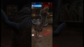 Lvl 30 Teams Everywhere. Compies & Rex Are Growing