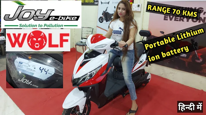 Joy e bike Wolf with Lithium ion battery