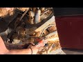 2500 Silverado Sway Bar link replacement