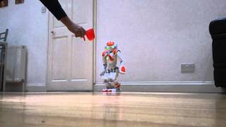 OptiBot Tracking Red Object