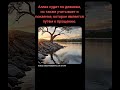 ПОКАЯНИЕ ПЕРЕД АЛЛАХОМ