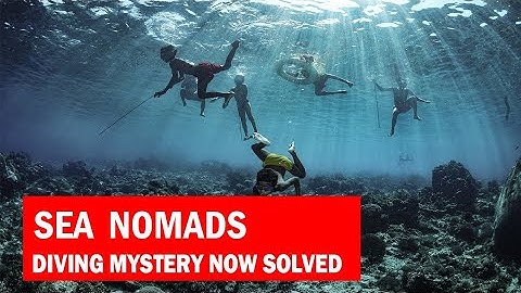 Discovering the world of the Bajau Tribe|The Free Diving Sea Nomads.