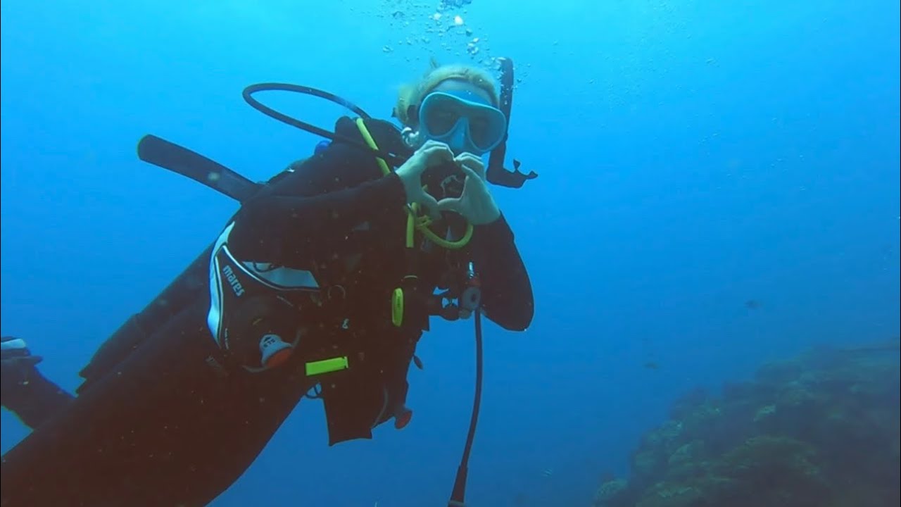 Flinders Reef Dive, Moreton Bay, Queensland Australia 2022