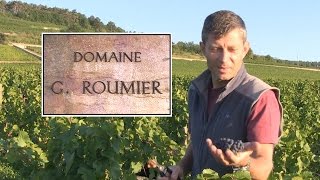 DOMAINE GEORGES ROUMIER by LOTEL DU VIN