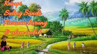 MUSIC TRADITIOANAL KECAPI SULING SUNDA DENGAN KICAUAN BURUNG - HAMPARAN SAWAH - PEGUNUNGAN