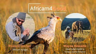 Secretary Birds Africam4Good