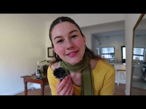 I Moved To South Africa Heres What It S Like Live Here Vlog 