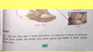 Dav Class-3 Science Ch-8 Food (Reading and Explanation) Part-1