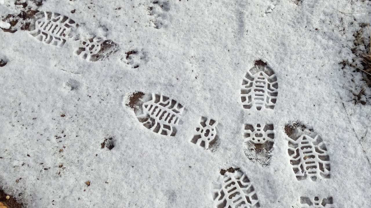 January 5 2026 first snow day 