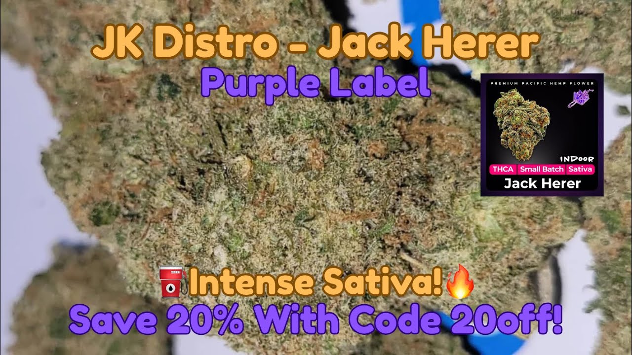 JK Distro - Jack Herer (Purple Label Strain) THCa Flower Review, Up Close Video. INTENSE Sativa! 🔥