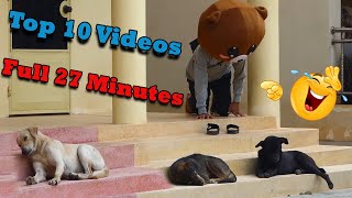 Big Head Prank Vs Sleep dog Very Funny _ Must Watch Funny Comedy New Prank Try Not To Laugh