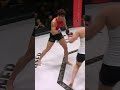 Last Punch Sealed the Deal #mma #invictafc #shorts