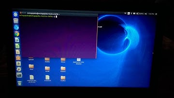 Ubuntu-run xampp after installation