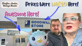 Antique Shop vs Goodwill: Find the Best Vintage Deals!