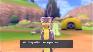63B Easygoing Camp - Pokémon Swordshield