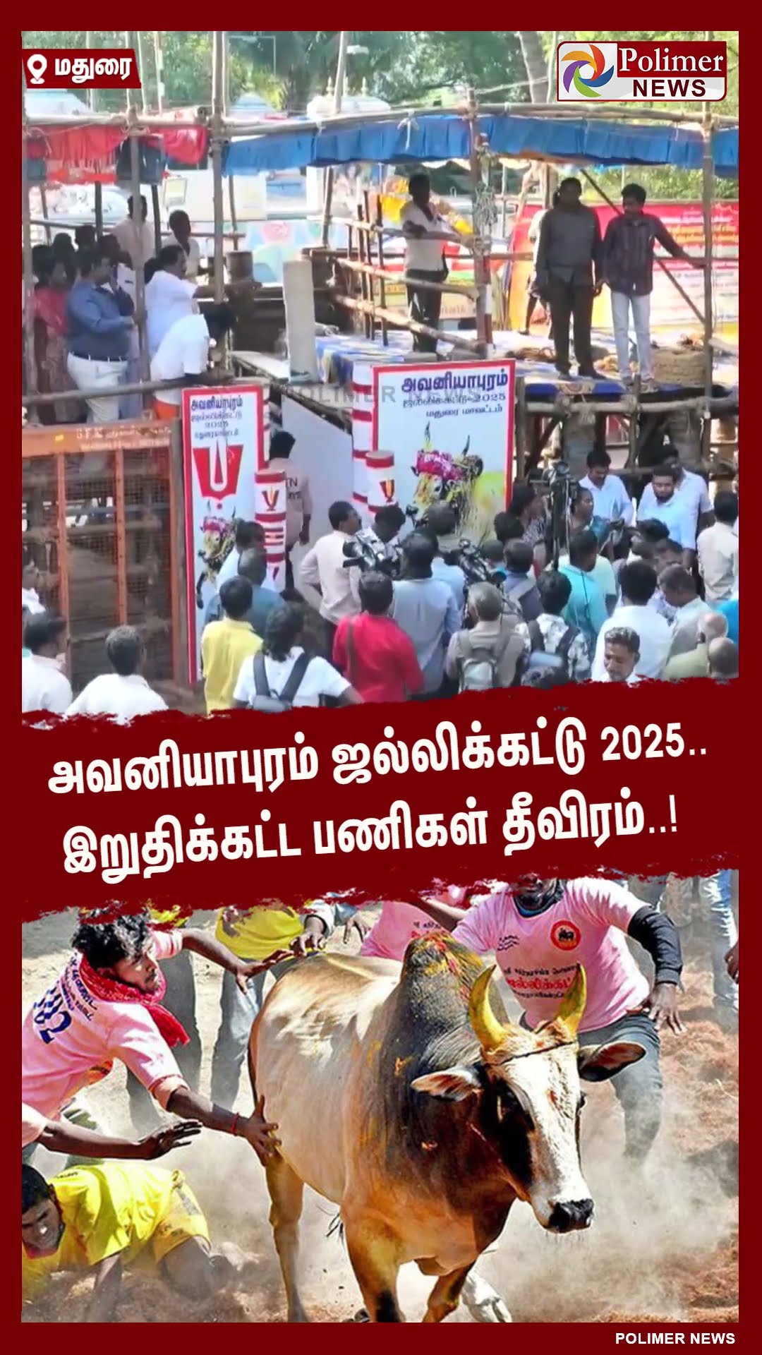 அவனியாபுரம் ஜல்லிக்கட்டு 2025.. இறுதிக்கட்ட பணிகள் தீவிரம்..! #shorts