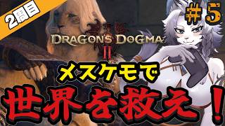 【ドラゴンズドグマⅡ】2周目もメスケモで世界を救います！#5【ライオVT】