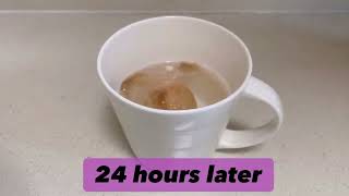 Science Experiment Bouncy Egg
