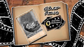 Cher Ami | La paloma que salvo decenas de vida en la WW1 | (Animales Historicos)