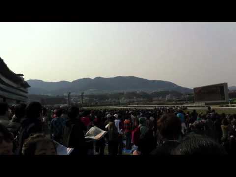 桜花賞2012の3角から直線.mp4