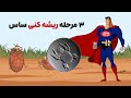 چگونه ساس ها را به طور کامل از بین ببریم