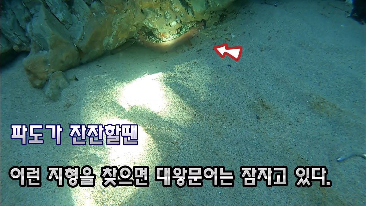 대문어는 잡기위해선 파도가 잔잔해지기를 기다려라..