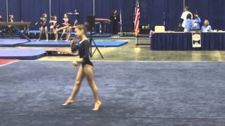 Romyn Level 4 Floor Routine