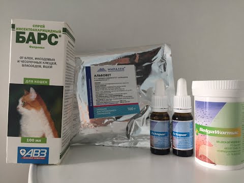 Борьба с паразитами ! Избавляем голубей от всех паразитов!