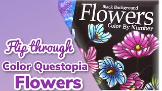 Flip - Color Questopia Flowers!