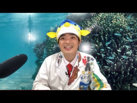 さかなクンちゃんねる - FISH BOY - Sakana-kun - YouTube