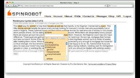How to rewrite article text manually using Spinrobot