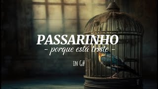 PASSARINHO PORQUE ESTA TRISTE in G Hinos Avulsos CCB Breno Augusto