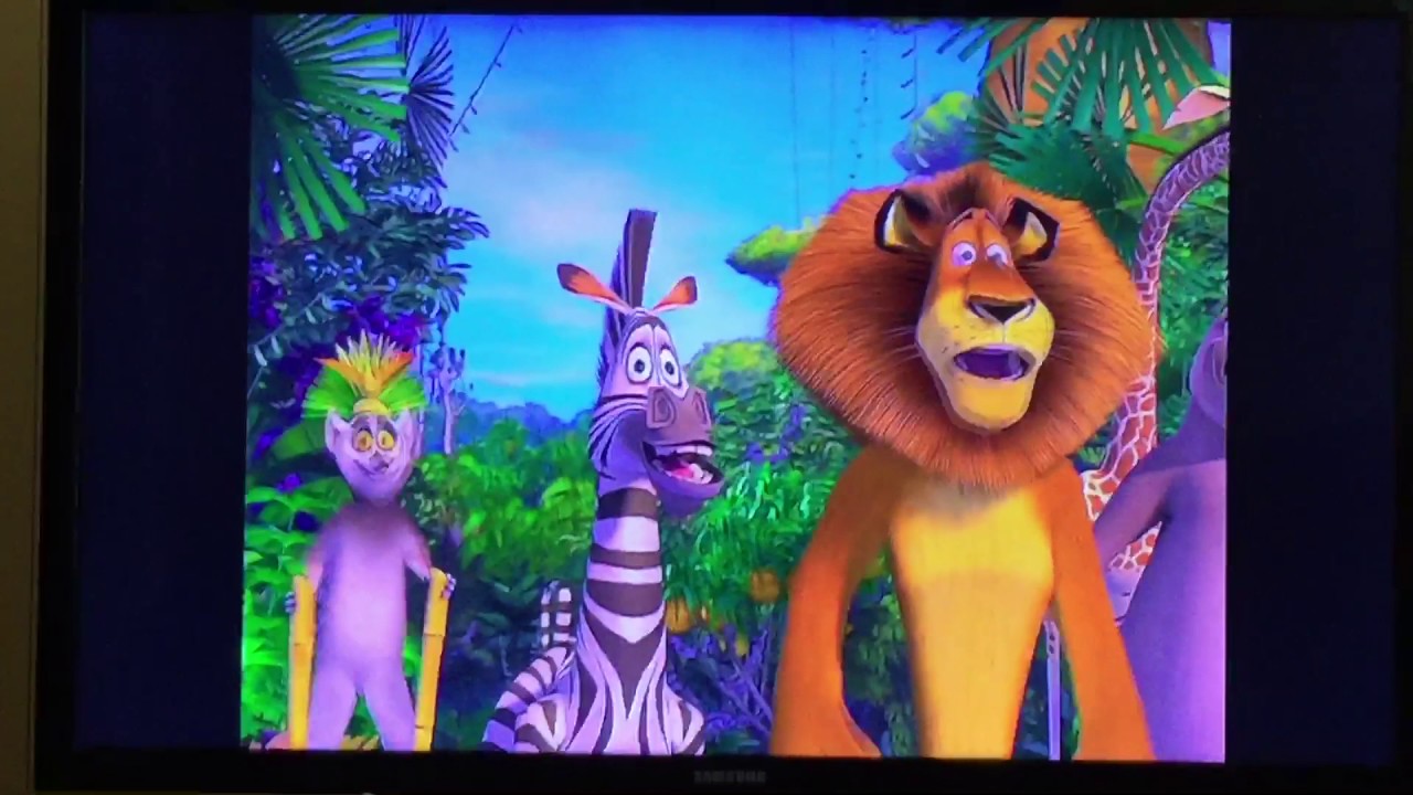 Madagascar: who's the cat - YouTube