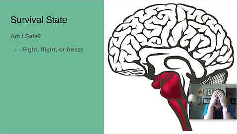 Brain States