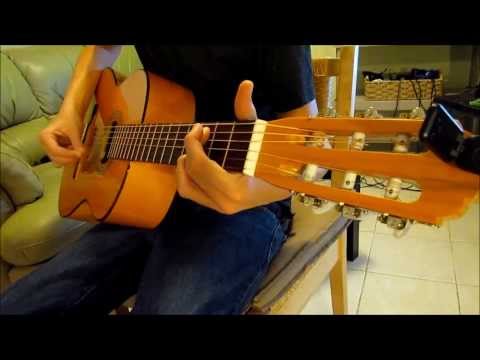 diva-acoustic-guitar-made-in-mexico,-sonido-rana-puerto-vallarta