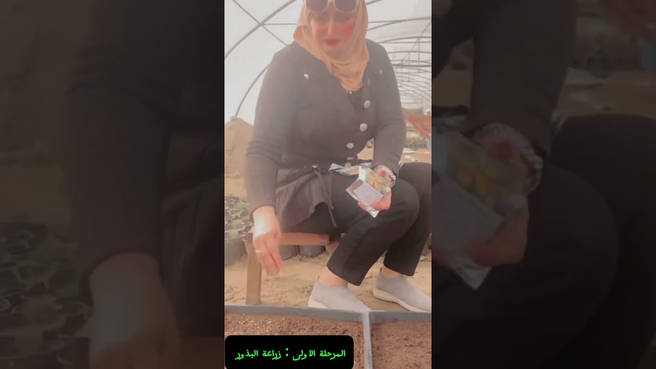 الجعفري (القطيفة) ،الماري گولد