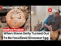 Madhya Pradesh: When scientists found out that stone deity is a fossilized Dinosaur egg