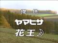 1998年3月頃のCM その13