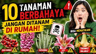 10 Tanaman Berbahaya yang Sebaiknya Tidak Anda Tanam di Rumah, Tanaman Beracun