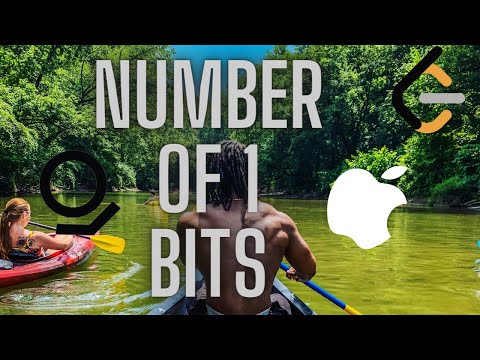 LeetCode 191: Number of 1 Bits | Apple Interview Problem | Counting Bits