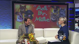 Ask Dr. Mike: Holiday Travel Safety Tips For Your Pets