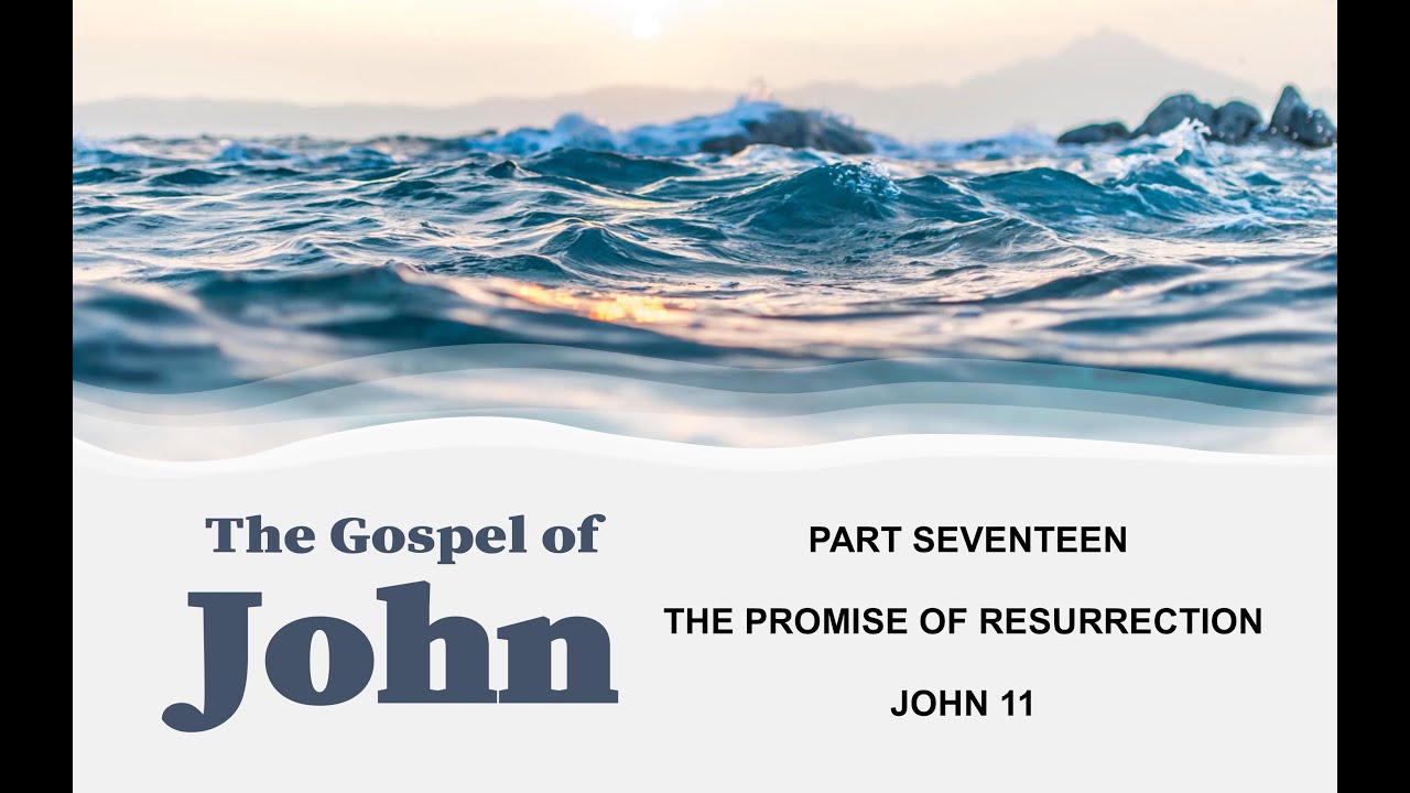 Sermon John 11 Resurrection June 26 YouTube