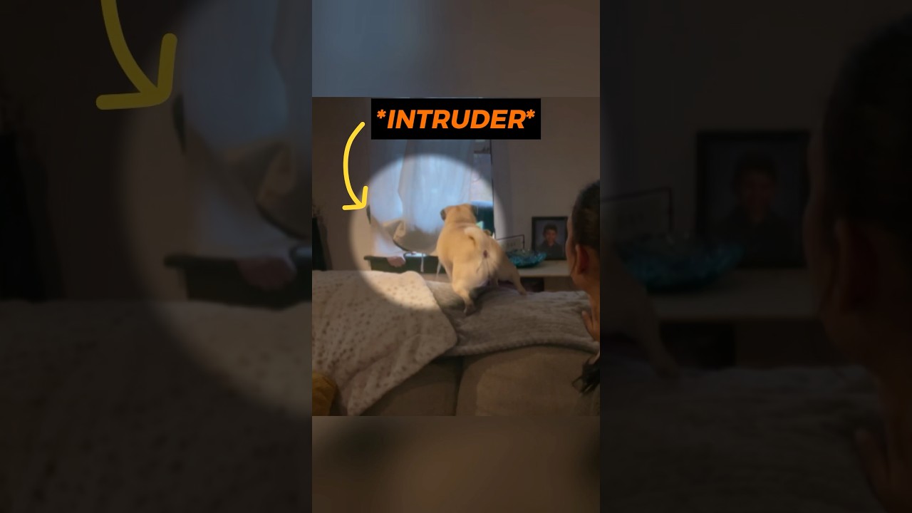 Intruder Picked the Wrong House 😳