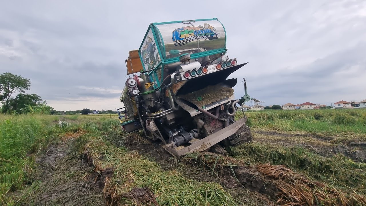ติดหล่มทุกนา รถเกี่ยวทีมงานศรีสุวรรณ15 กันยายน2023