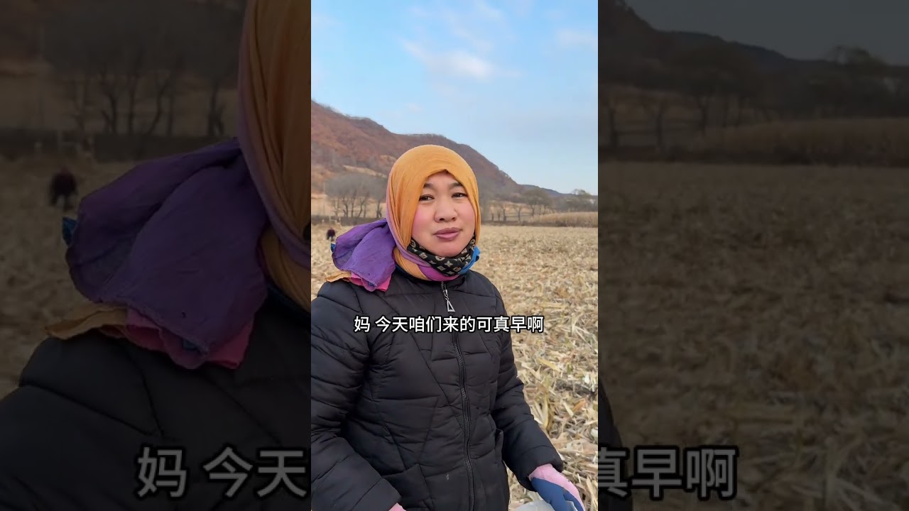 每个人都很不容易