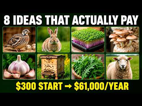Start With $300. Make $61,000 a Year. The 8 Most Profitable Farm Ideas in 2026!