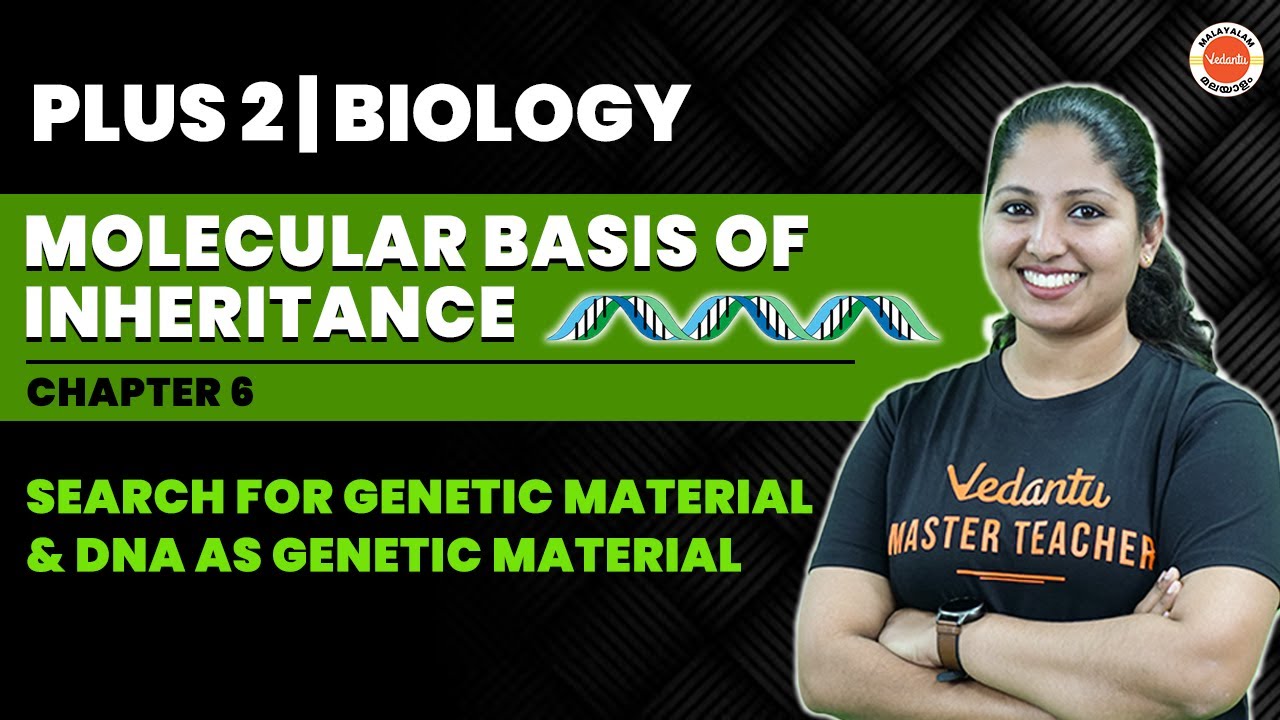Genetic Material & DNA | Molecular Basis Of Inheritance | Plus Two ...