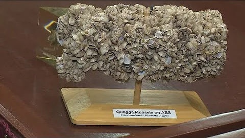 Gov. Little signs bill to provide funding to continue fight against quagga mussels