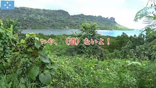 ミクロネシア旅その29　グアムへ移動！ちょっと寂しい気持ちです（ミクロネシア連邦ポンペイ島）【無職旅】【旅行記】